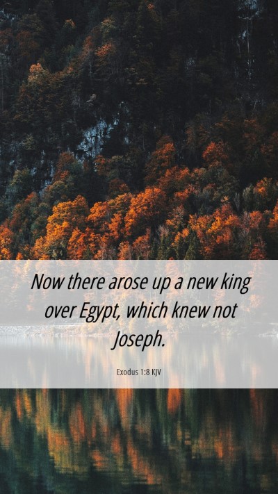 Picture 06 - Exodus 1:8 KJV Mobile Phone Wallpaper - Now there arose up a new king over Egypt, which - Mobile Bible Verse Wallpaper