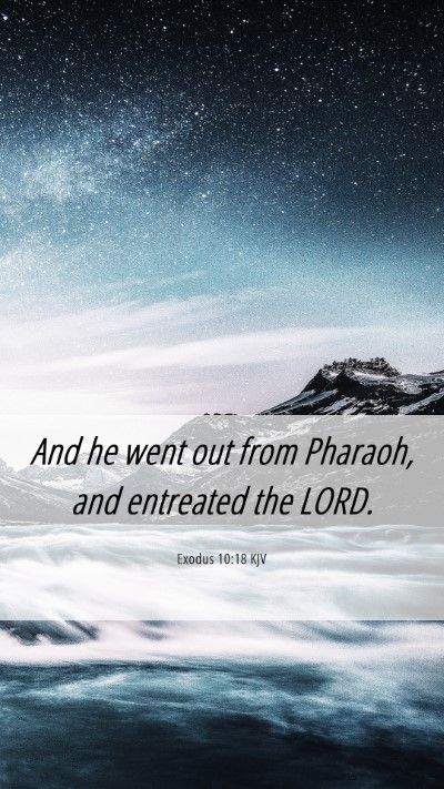 Picture 06 - Exodus 10:18 KJV Mobile Phone Wallpaper - And he went out from Pharaoh, and entreated the - Mobile Bible Verse Wallpaper
