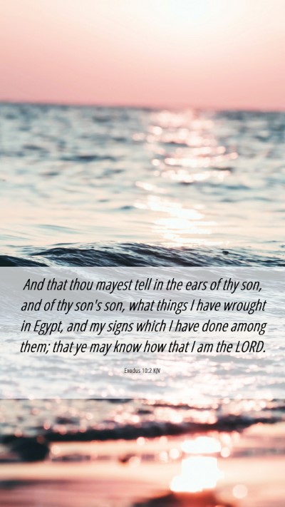 Picture 06 - Exodus 10:2 KJV Mobile Phone Wallpaper - And that thou mayest tell in the ears of thy son, - Mobile Bible Verse Wallpaper