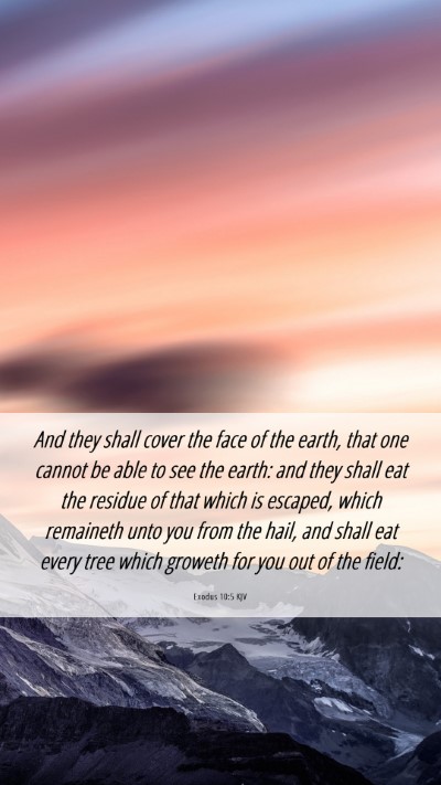 Picture 06 - Exodus 10:5 KJV Mobile Phone Wallpaper - And they shall cover the face of the earth, that - Mobile Bible Verse Wallpaper