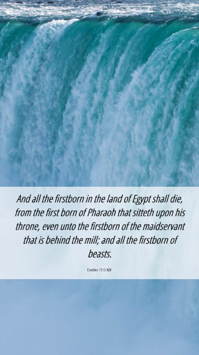 Picture 06 - Exodus 11:5 KJV Mobile Phone Wallpaper - And all the firstborn in the land of Egypt shall - Mobile Bible Verse Wallpaper