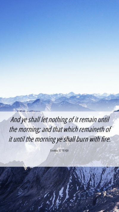 Picture 06 - Exodus 12:10 KJV Mobile Phone Wallpaper - And ye shall let nothing of it remain until the - Mobile Bible Verse Wallpaper