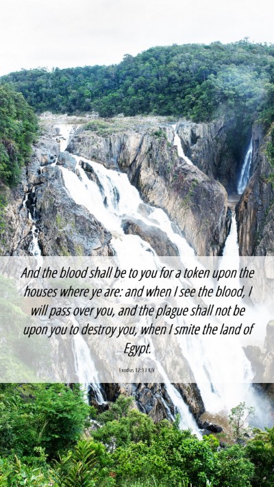 Picture 06 - Exodus 12:13 KJV Mobile Phone Wallpaper - And the blood shall be to you for a token upon - Mobile Bible Verse Wallpaper