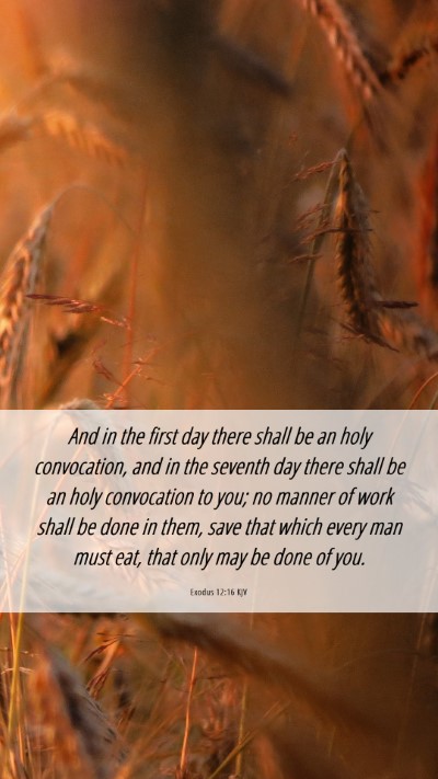 Picture 06 - Exodus 12:16 KJV Mobile Phone Wallpaper - And in the first day there shall be an holy - Mobile Bible Verse Wallpaper