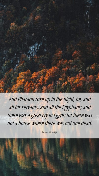 Picture 06 - Exodus 12:30 KJV Mobile Phone Wallpaper - And Pharaoh rose up in the night, he, and all his - Mobile Bible Verse Wallpaper