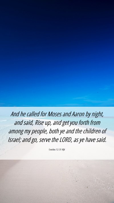 Picture 06 - Exodus 12:31 KJV Mobile Phone Wallpaper - And he called for Moses and Aaron by night, and - Mobile Bible Verse Wallpaper