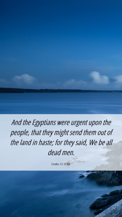 Picture 06 - Exodus 12:33 KJV Mobile Phone Wallpaper - And the Egyptians were urgent upon the people, - Mobile Bible Verse Wallpaper
