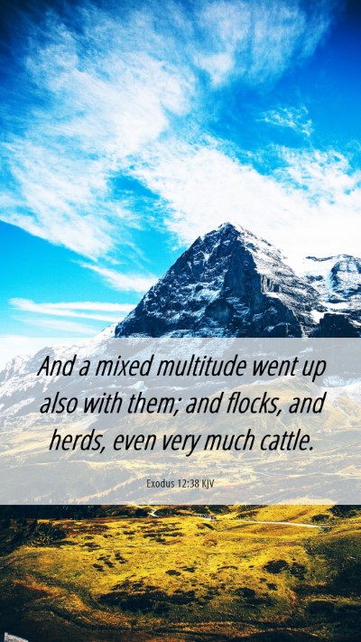 Picture 06 - Exodus 12:38 KJV Mobile Phone Wallpaper - And a mixed multitude went up also with them; and - Mobile Bible Verse Wallpaper