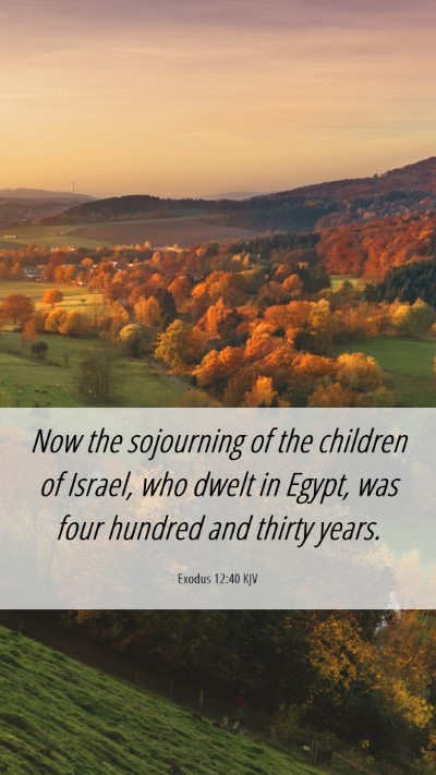 Picture 06 - Exodus 12:40 KJV Mobile Phone Wallpaper - Now the sojourning of the children of Israel, who - Mobile Bible Verse Wallpaper