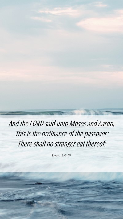 Picture 06 - Exodus 12:43 KJV Mobile Phone Wallpaper - And the LORD said unto Moses and Aaron, This is - Mobile Bible Verse Wallpaper