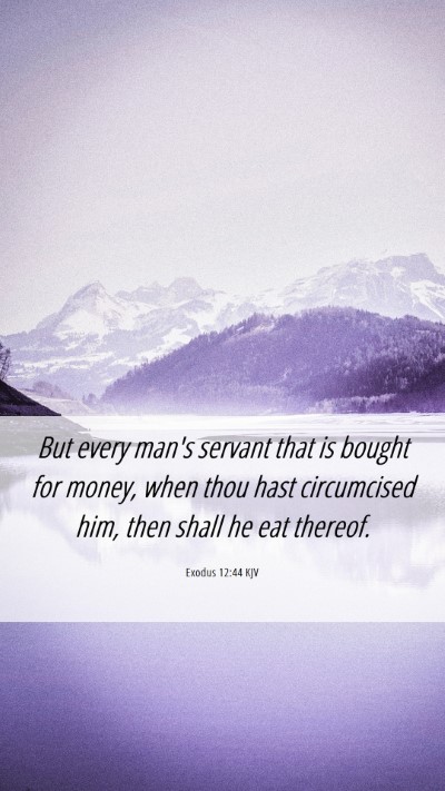 Picture 06 - Exodus 12:44 KJV Mobile Phone Wallpaper - But every man's servant that is bought for money, - Mobile Bible Verse Wallpaper