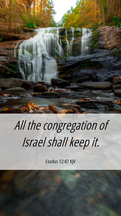 Picture 06 - Exodus 12:47 KJV Mobile Phone Wallpaper - All the congregation of Israel shall keep - Mobile Bible Verse Wallpaper