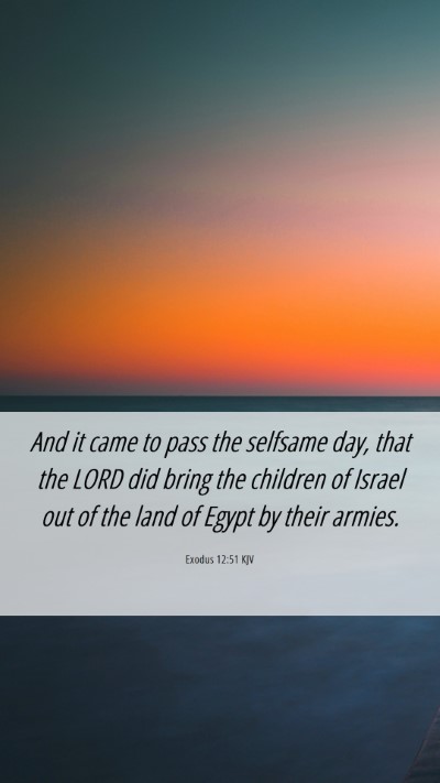 Picture 06 - Exodus 12:51 KJV Mobile Phone Wallpaper - And it came to pass the selfsame day, that the - Mobile Bible Verse Wallpaper