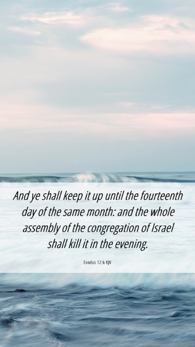 Picture 06 - Exodus 12:6 KJV Mobile Phone Wallpaper - And ye shall keep it up until the fourteenth day - Mobile Bible Verse Wallpaper