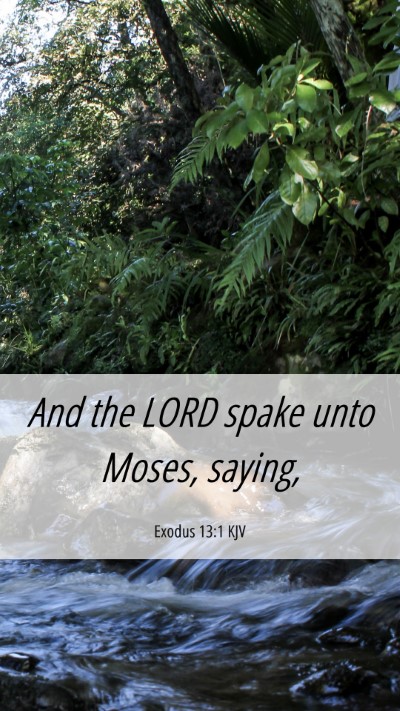 Picture 06 - Exodus 13:1 KJV Mobile Phone Wallpaper - And the LORD spake unto Moses, - Mobile Bible Verse Wallpaper