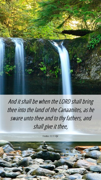 Picture 06 - Exodus 13:11 KJV Mobile Phone Wallpaper - And it shall be when the LORD shall bring thee - Mobile Bible Verse Wallpaper