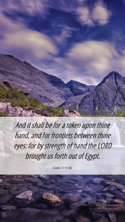 Picture 06 - Exodus 13:16 KJV Mobile Phone Wallpaper - And it shall be for a token upon thine hand, and - Mobile Bible Verse Wallpaper