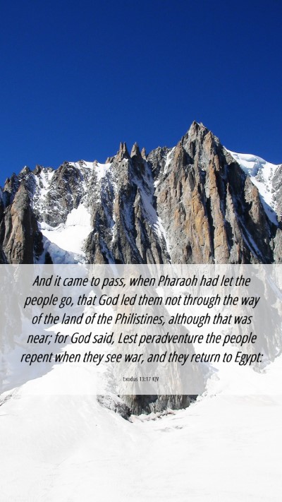 Picture 06 - Exodus 13:17 KJV Mobile Phone Wallpaper - And it came to pass, when Pharaoh had let the - Mobile Bible Verse Wallpaper
