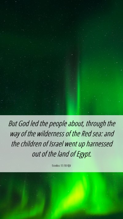 Picture 06 - Exodus 13:18 KJV Mobile Phone Wallpaper - But God led the people about, through the way of - Mobile Bible Verse Wallpaper