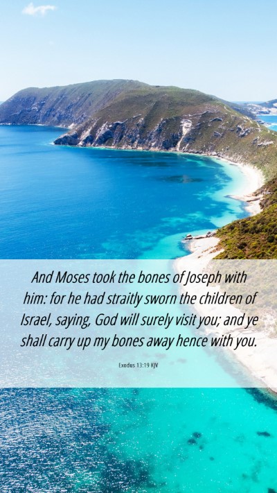 Picture 06 - Exodus 13:19 KJV Mobile Phone Wallpaper - And Moses took the bones of Joseph with him: for - Mobile Bible Verse Wallpaper