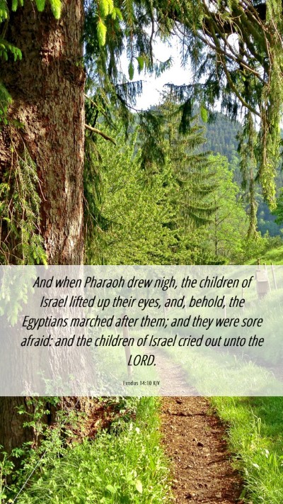 Picture 06 - Exodus 14:10 KJV Mobile Phone Wallpaper - And when Pharaoh drew nigh, the children of - Mobile Bible Verse Wallpaper