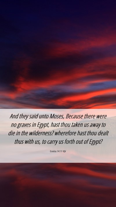 Picture 06 - Exodus 14:11 KJV Mobile Phone Wallpaper - And they said unto Moses, Because there were no - Mobile Bible Verse Wallpaper