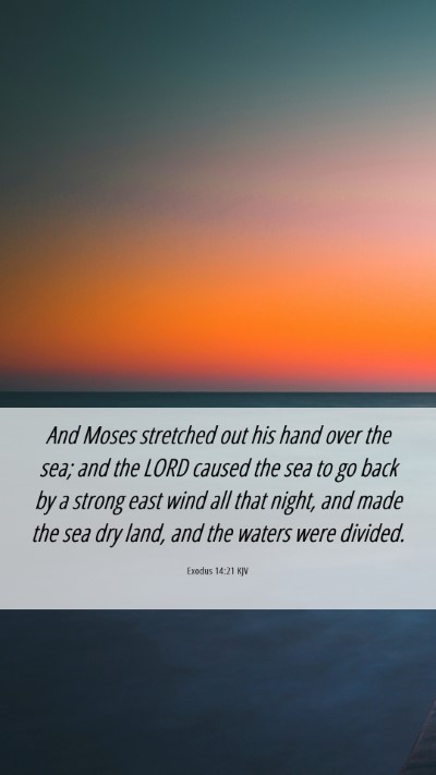 Picture 06 - Exodus 14:21 KJV Mobile Phone Wallpaper - And Moses stretched out his hand over the sea; - Mobile Bible Verse Wallpaper