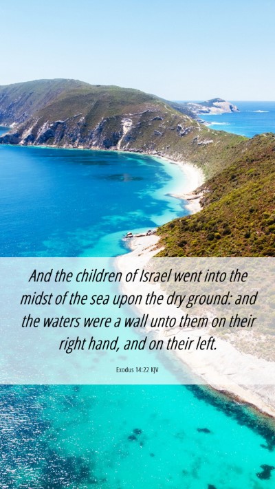Picture 06 - Exodus 14:22 KJV Mobile Phone Wallpaper - And the children of Israel went into the midst of - Mobile Bible Verse Wallpaper