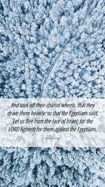 Picture 06 - Exodus 14:25 KJV Mobile Phone Wallpaper - And took off their chariot wheels, that they - Mobile Bible Verse Wallpaper