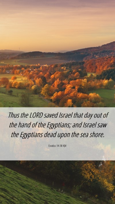 Picture 06 - Exodus 14:30 KJV Mobile Phone Wallpaper - Thus the LORD saved Israel that day out of the - Mobile Bible Verse Wallpaper