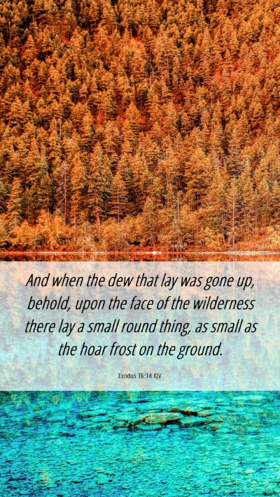 Picture 06 - Exodus 16:14 KJV Mobile Phone Wallpaper - And when the dew that lay was gone up, behold, - Mobile Bible Verse Wallpaper
