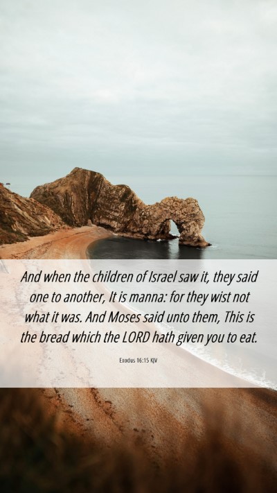 Picture 06 - Exodus 16:15 KJV Mobile Phone Wallpaper - And when the children of Israel saw it, they said - Mobile Bible Verse Wallpaper