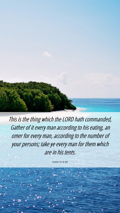 Picture 06 - Exodus 16:16 KJV Mobile Phone Wallpaper - This is the thing which the LORD hath commanded, - Mobile Bible Verse Wallpaper
