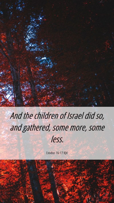 Picture 06 - Exodus 16:17 KJV Mobile Phone Wallpaper - And the children of Israel did so, and gathered, - Mobile Bible Verse Wallpaper