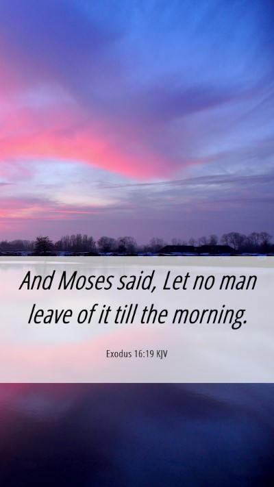 Picture 06 - Exodus 16:19 KJV Mobile Phone Wallpaper - And Moses said, Let no man leave of it till the - Mobile Bible Verse Wallpaper