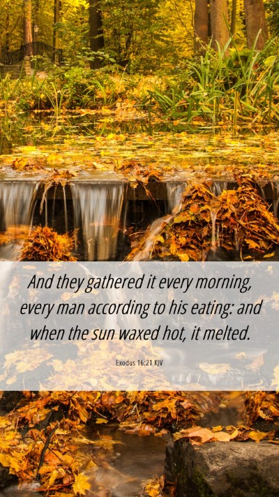 Picture 06 - Exodus 16:21 KJV Mobile Phone Wallpaper - And they gathered it every morning, every man - Mobile Bible Verse Wallpaper
