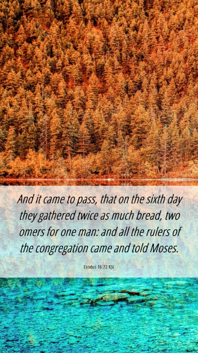 Picture 06 - Exodus 16:22 KJV Mobile Phone Wallpaper - And it came to pass, that on the sixth day they - Mobile Bible Verse Wallpaper