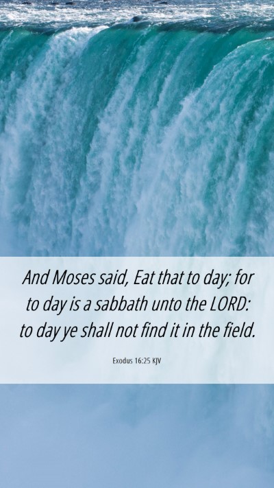 Picture 06 - Exodus 16:25 KJV Mobile Phone Wallpaper - And Moses said, Eat that to day; for to day is a - Mobile Bible Verse Wallpaper