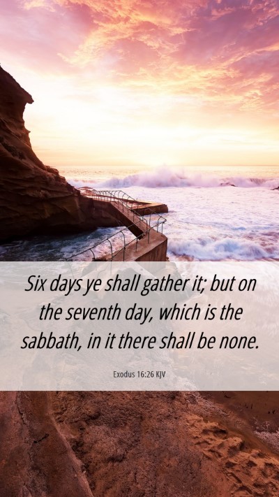 Picture 06 - Exodus 16:26 KJV Mobile Phone Wallpaper - Six days ye shall gather it; but on the seventh - Mobile Bible Verse Wallpaper