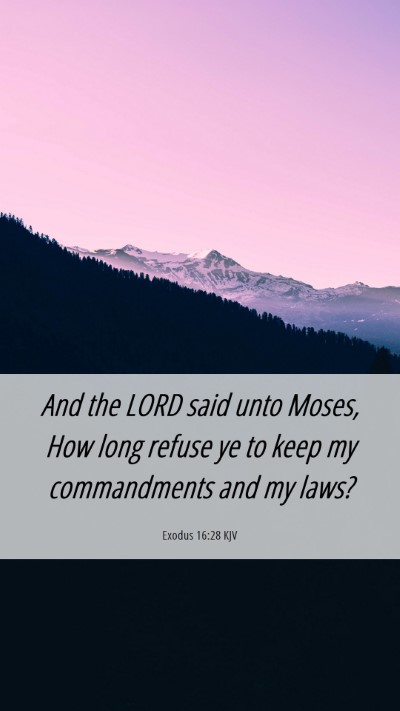 Picture 06 - Exodus 16:28 KJV Mobile Phone Wallpaper - And the LORD said unto Moses, How long refuse ye - Mobile Bible Verse Wallpaper