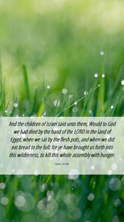 Picture 06 - Exodus 16:3 KJV Mobile Phone Wallpaper - And the children of Israel said unto them, Would - Mobile Bible Verse Wallpaper