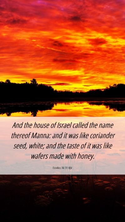 Picture 06 - Exodus 16:31 KJV Mobile Phone Wallpaper - And the house of Israel called the name thereof - Mobile Bible Verse Wallpaper