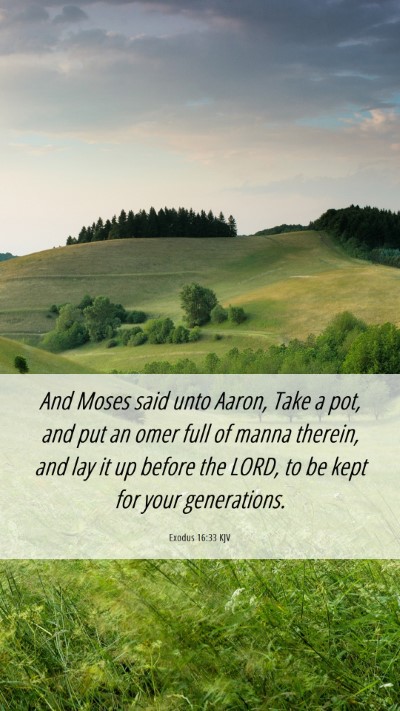 Picture 06 - Exodus 16:33 KJV Mobile Phone Wallpaper - And Moses said unto Aaron, Take a pot, and put an - Mobile Bible Verse Wallpaper