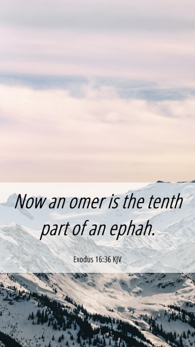 Picture 06 - Exodus 16:36 KJV Mobile Phone Wallpaper - Now an omer is the tenth part of an - Mobile Bible Verse Wallpaper