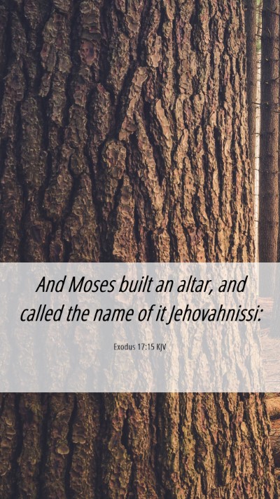 Picture 06 - Exodus 17:15 KJV Mobile Phone Wallpaper - And Moses built an altar, and called the name of - Mobile Bible Verse Wallpaper