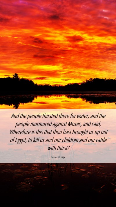 Picture 06 - Exodus 17:3 KJV Mobile Phone Wallpaper - And the people thirsted there for water; and the - Mobile Bible Verse Wallpaper