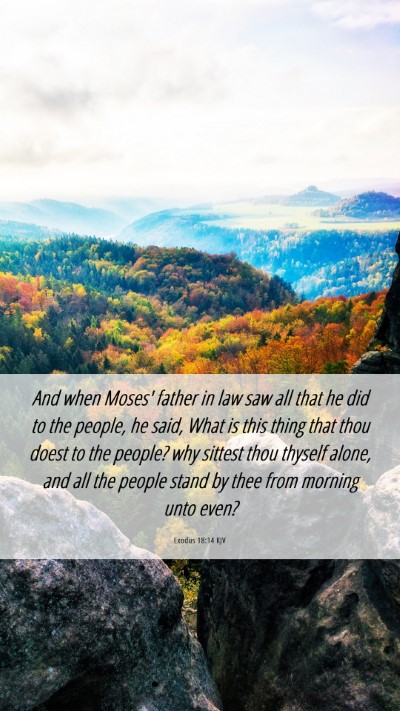 Picture 06 - Exodus 18:14 KJV Mobile Phone Wallpaper - And when Moses' father in law saw all that he did - Mobile Bible Verse Wallpaper
