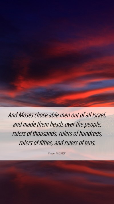 Picture 06 - Exodus 18:25 KJV Mobile Phone Wallpaper - And Moses chose able men out of all Israel, and - Mobile Bible Verse Wallpaper