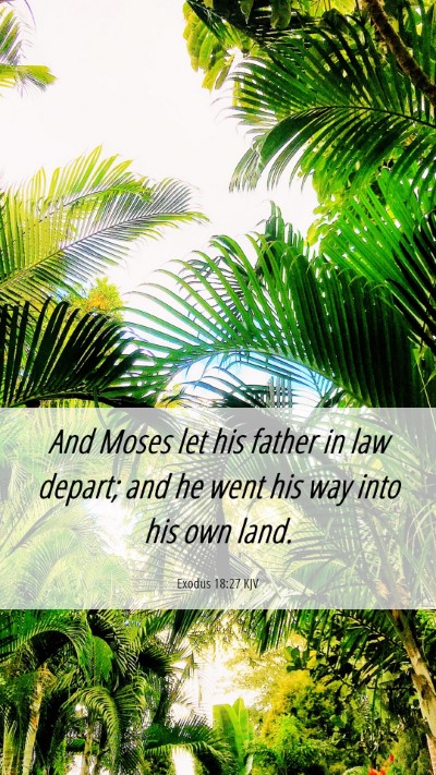 Picture 06 - Exodus 18:27 KJV Mobile Phone Wallpaper - And Moses let his father in law depart; and he - Mobile Bible Verse Wallpaper