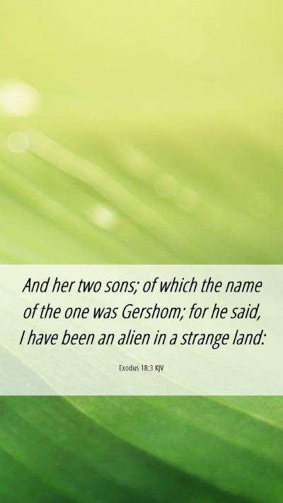 Picture 06 - Exodus 18:3 KJV Mobile Phone Wallpaper - And her two sons; of which the name of the one - Mobile Bible Verse Wallpaper